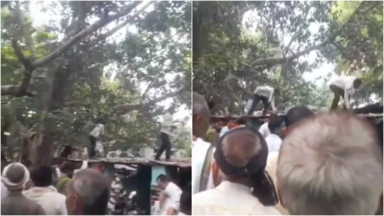 Uttar Pradesh Viral Video: વાંદરે 80 હજાર રૂપિયા ભરેલી બેગ લઇ ઝાડ પર ચાંદી ગયો પછી જે થયું...... Uttar Pradesh Viral Video: વાંદરે 80 હજાર રૂપિયા ભરેલી બેગ લઇ ઝાડ પર ચાંદી ગયો પછી જે થયું......