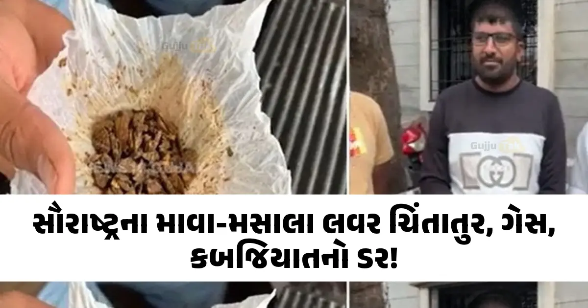 સૌરાષ્ટ્રમાં ફાકી અને મસાલા પર 40% GST વધારાની અસર: ગ્રાહકો અને વેપારીઓ ચિંતિત