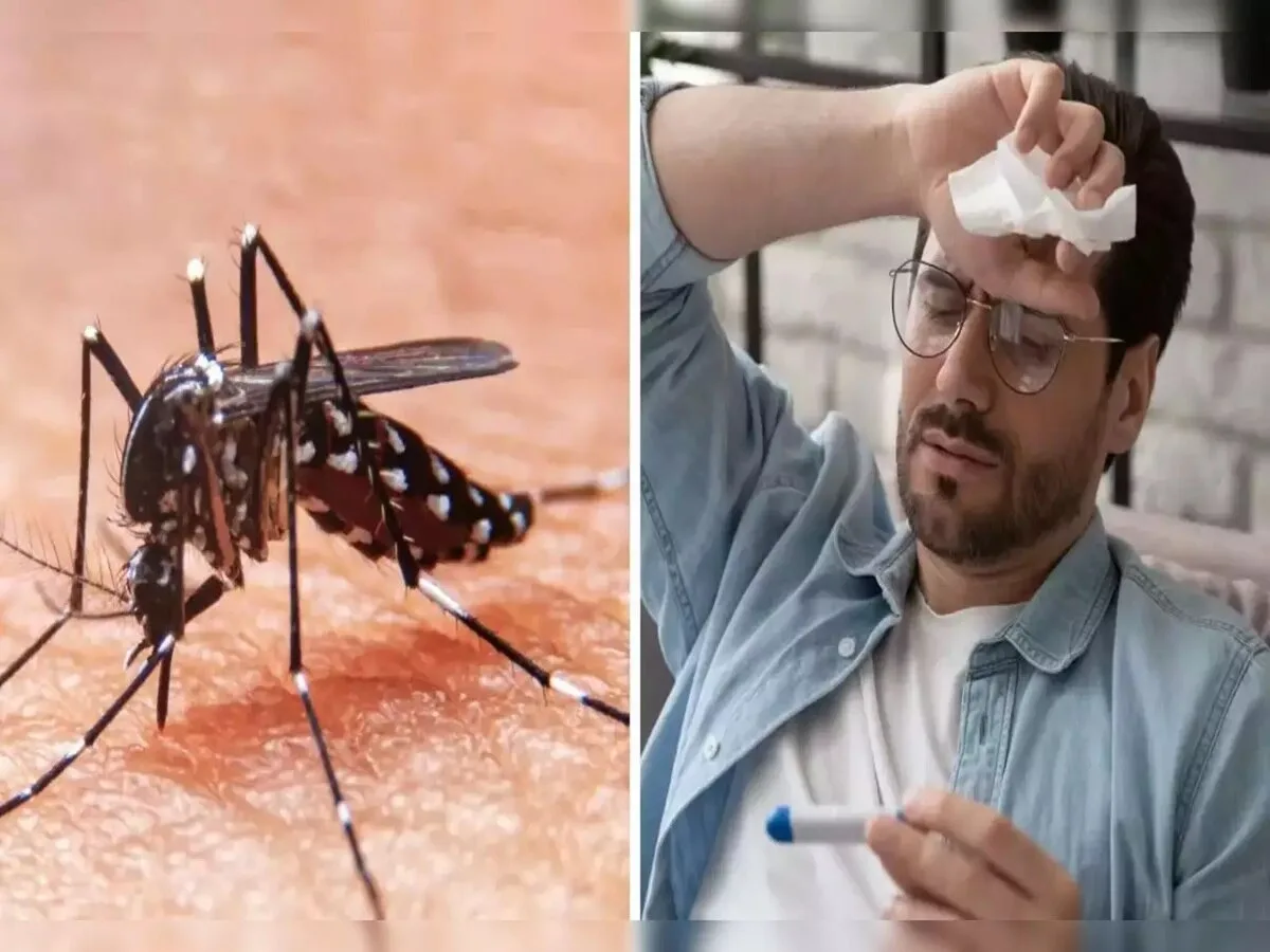 ahemadabad dengue big update last 13 day more than 200 case