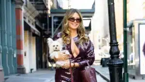 Heidi Klum Micro Minidress Look Goes Viral With Dog Fritz in NYC