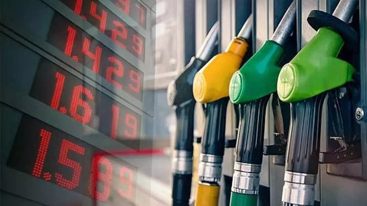 Petrol Diesel Price Today, Fuel Rates Remain Unchanged on June 15, Check Latest Prices in Your City